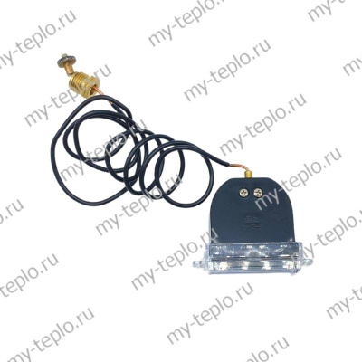 Манометр для котла Arderia B10 (manomArderiaB10)